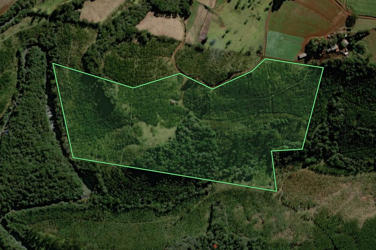 Imagem de satélite do imóvel rural em Cantagalo (PR), com o contorno declarado no CAR desenhado por cima.