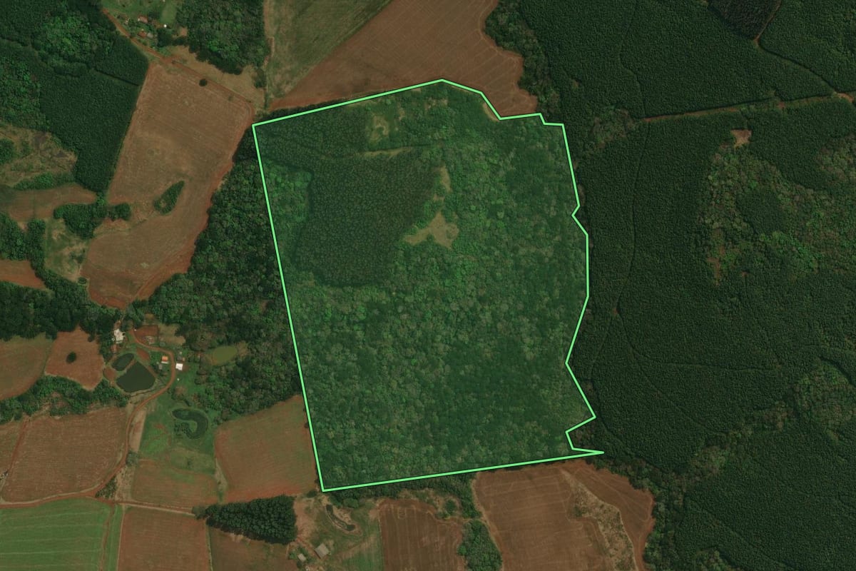 Imagem de satélite do imóvel rural em Cantagalo (PR), com o contorno declarado no CAR desenhado por cima.