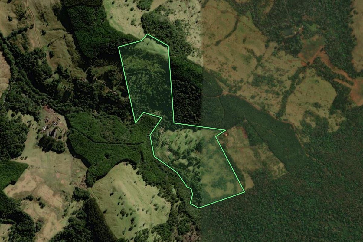 Imagem de satélite do imóvel rural em Cantagalo (PR), com o contorno declarado no CAR desenhado por cima.