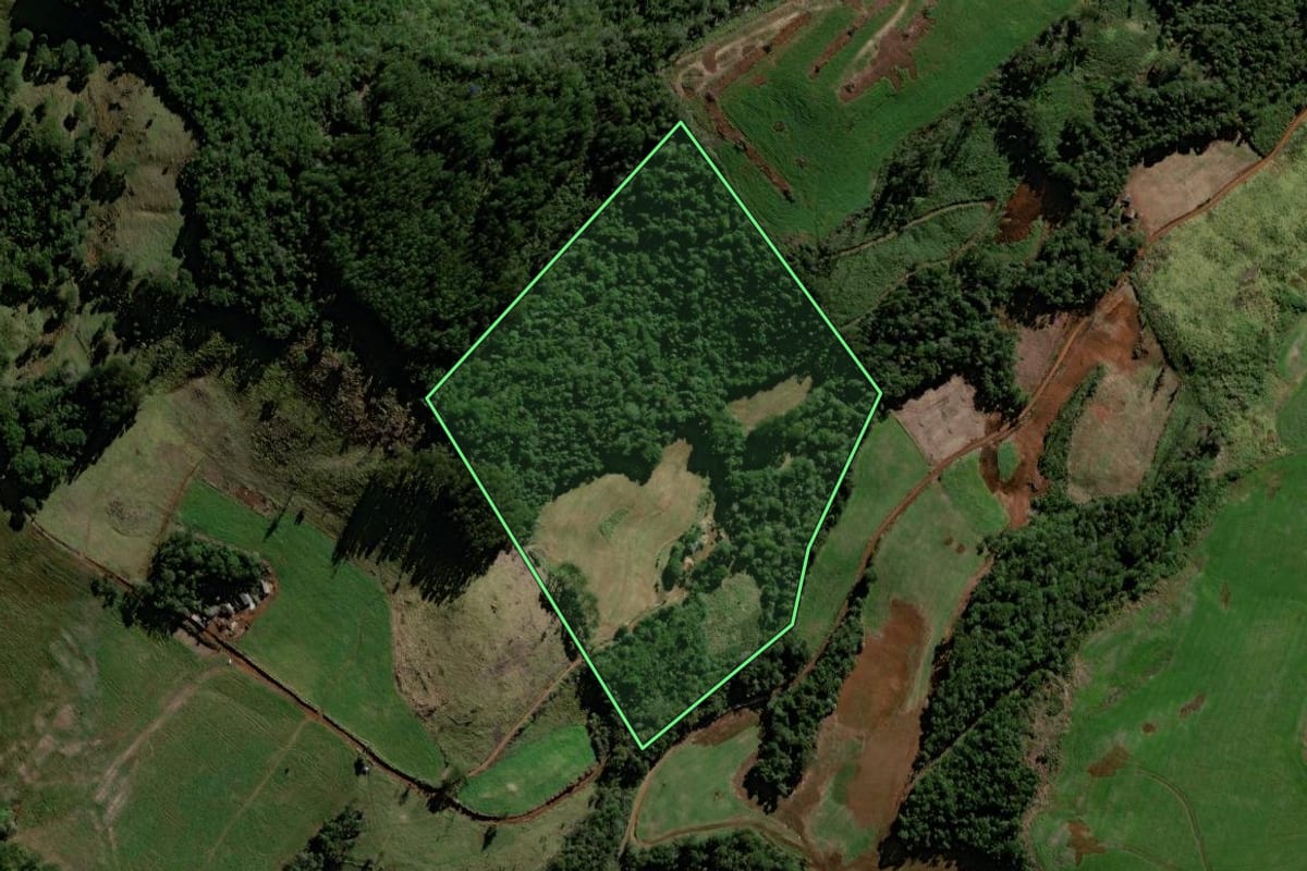 Imagem de satélite do imóvel rural em Cantagalo (PR), com o contorno declarado no CAR desenhado por cima.