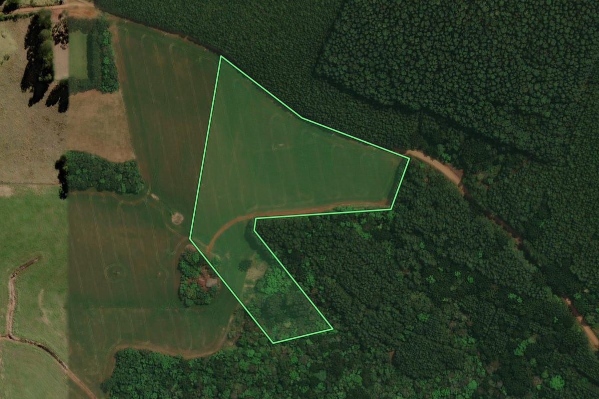 Imagem de satélite do imóvel rural em Cantagalo (PR), com o contorno declarado no CAR desenhado por cima.
