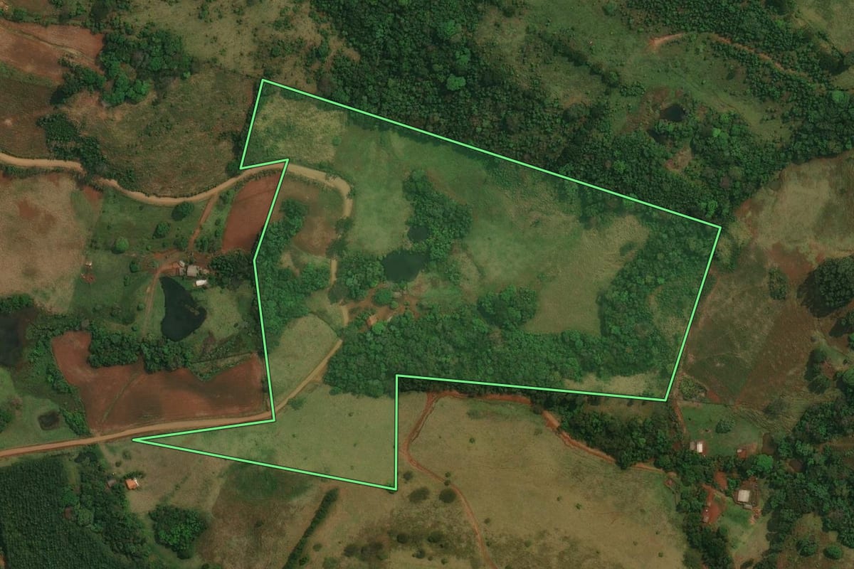 Imagem de satélite do imóvel rural em Cantagalo (PR), com o contorno declarado no CAR desenhado por cima.