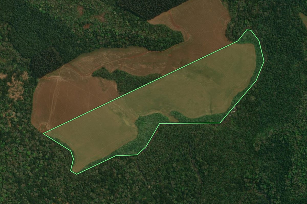 Imagem de satélite do imóvel rural em Cantagalo (PR), com o contorno declarado no CAR desenhado por cima.
