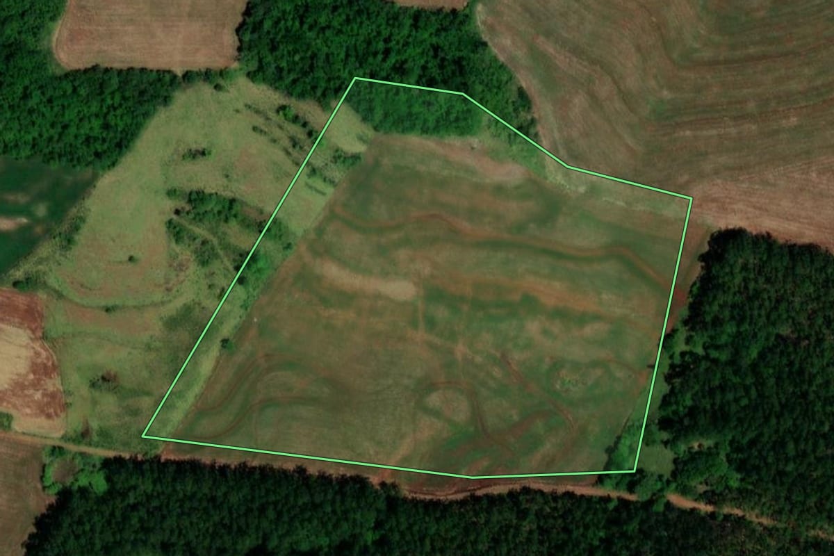 Imagem de satélite do imóvel rural em Capanema (PR), com o contorno declarado no CAR desenhado por cima.