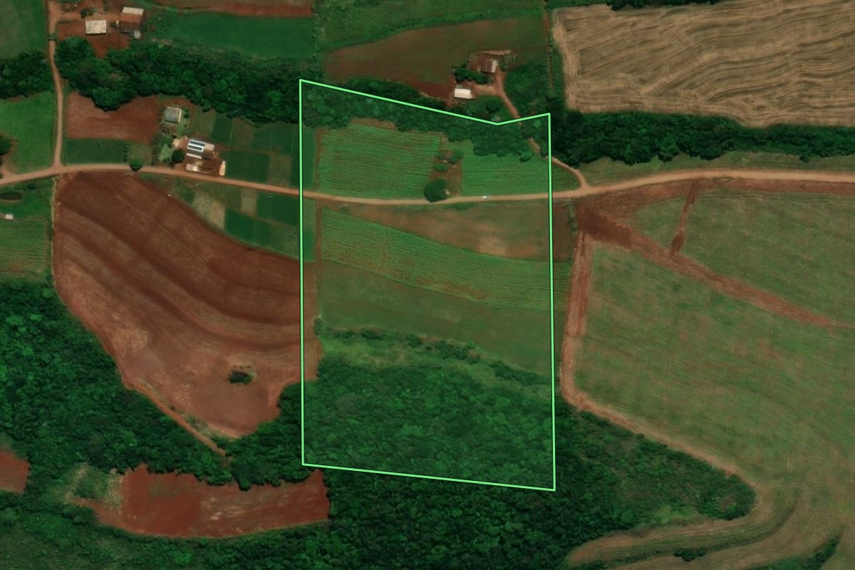 Imagem de satélite do imóvel rural em Capanema (PR), com o contorno declarado no CAR desenhado por cima.