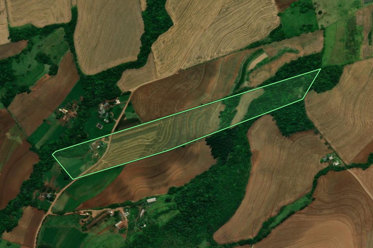 Imagem de satélite do imóvel rural em Capanema (PR), com o contorno declarado no CAR desenhado por cima.