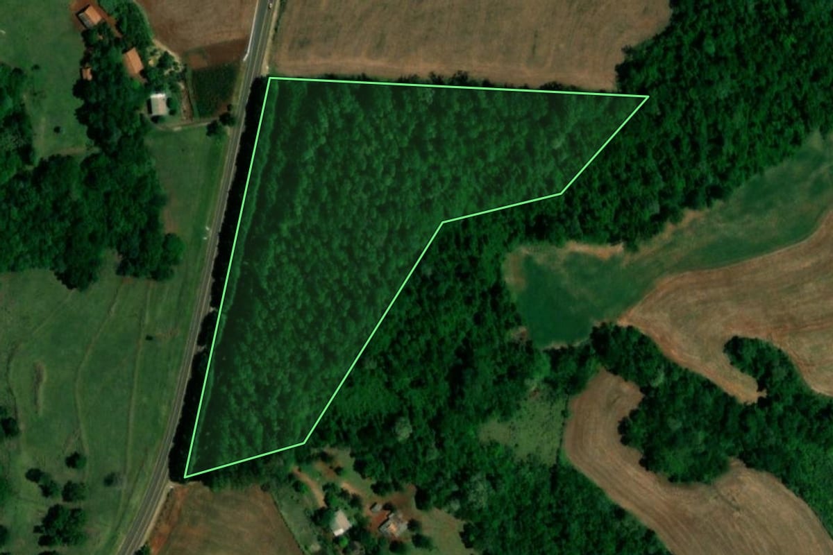 Imagem de satélite do imóvel rural em Capanema (PR), com o contorno declarado no CAR desenhado por cima.