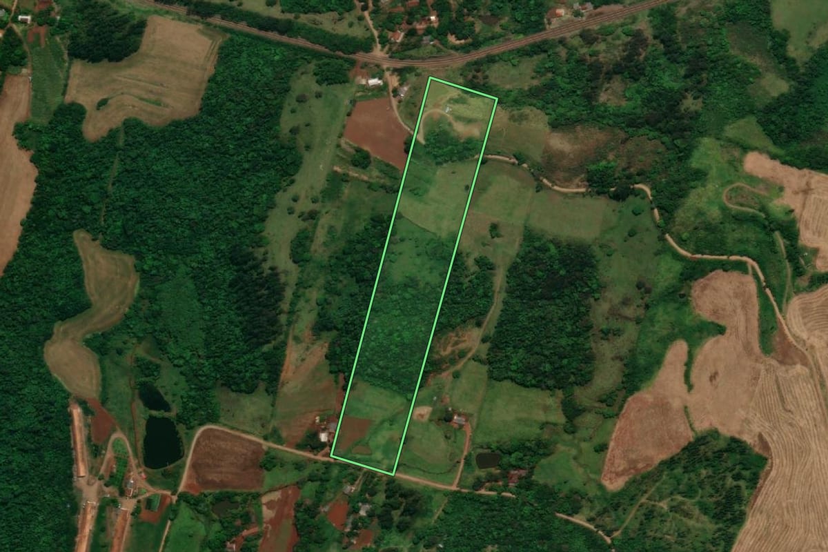 Imagem de satélite do imóvel rural em Capanema (PR), com o contorno declarado no CAR desenhado por cima.