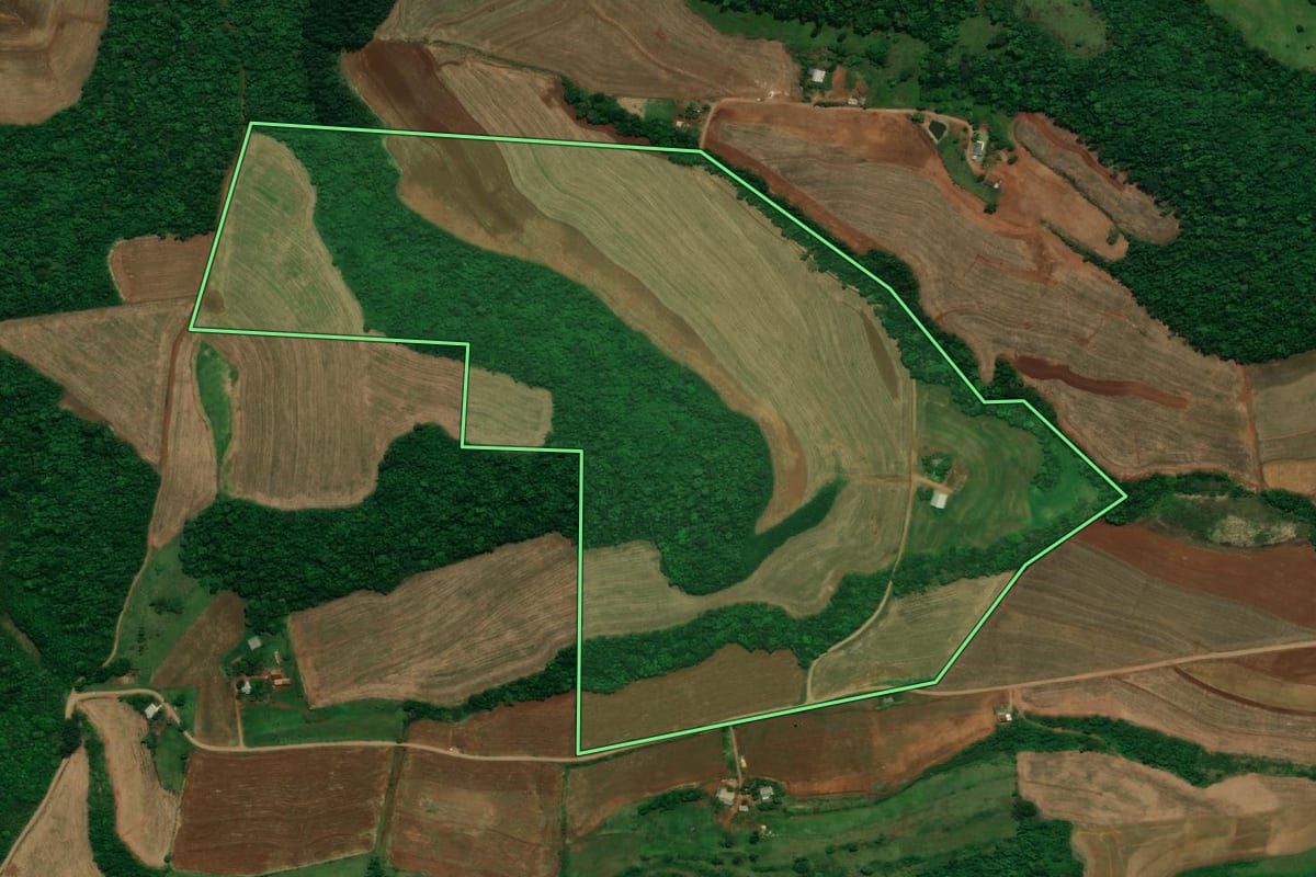 Imagem de satélite do imóvel rural em Capanema (PR), com o contorno declarado no CAR desenhado por cima.