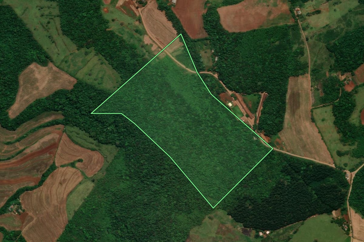 Imagem de satélite do imóvel rural em Capanema (PR), com o contorno declarado no CAR desenhado por cima.