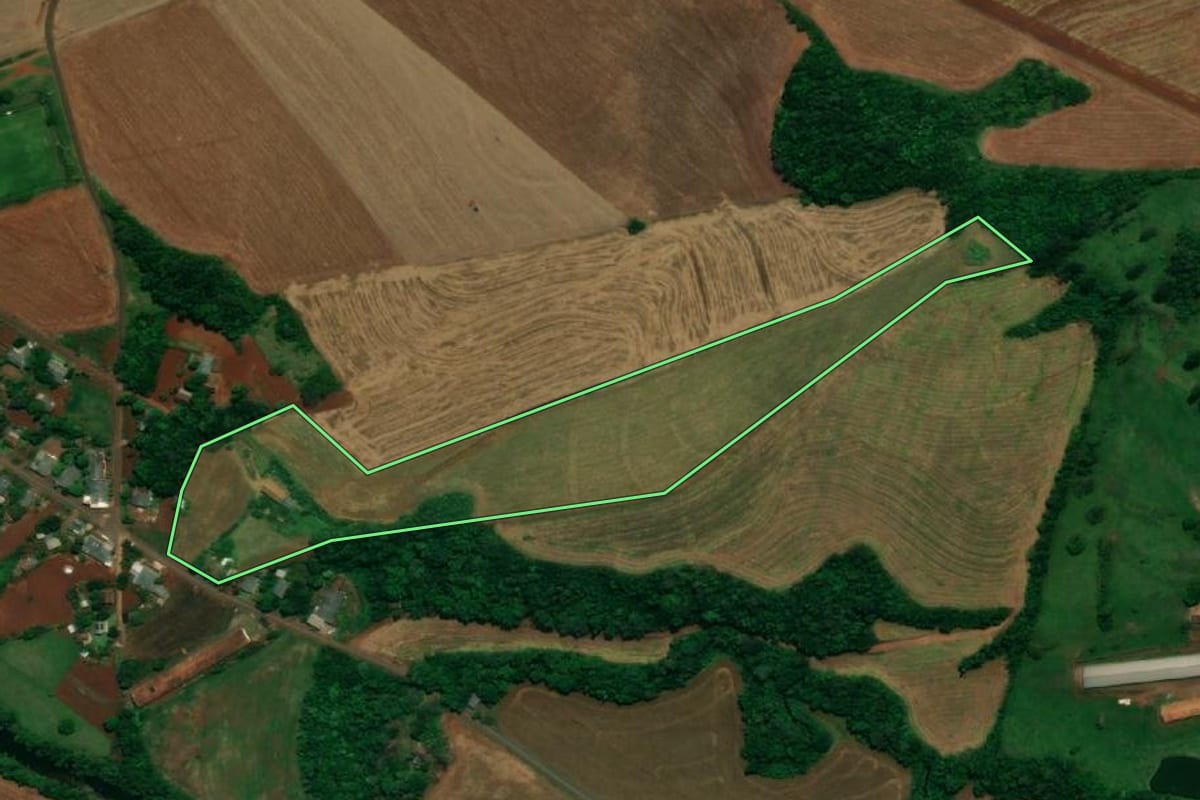 Imagem de satélite do imóvel rural em Capanema (PR), com o contorno declarado no CAR desenhado por cima.