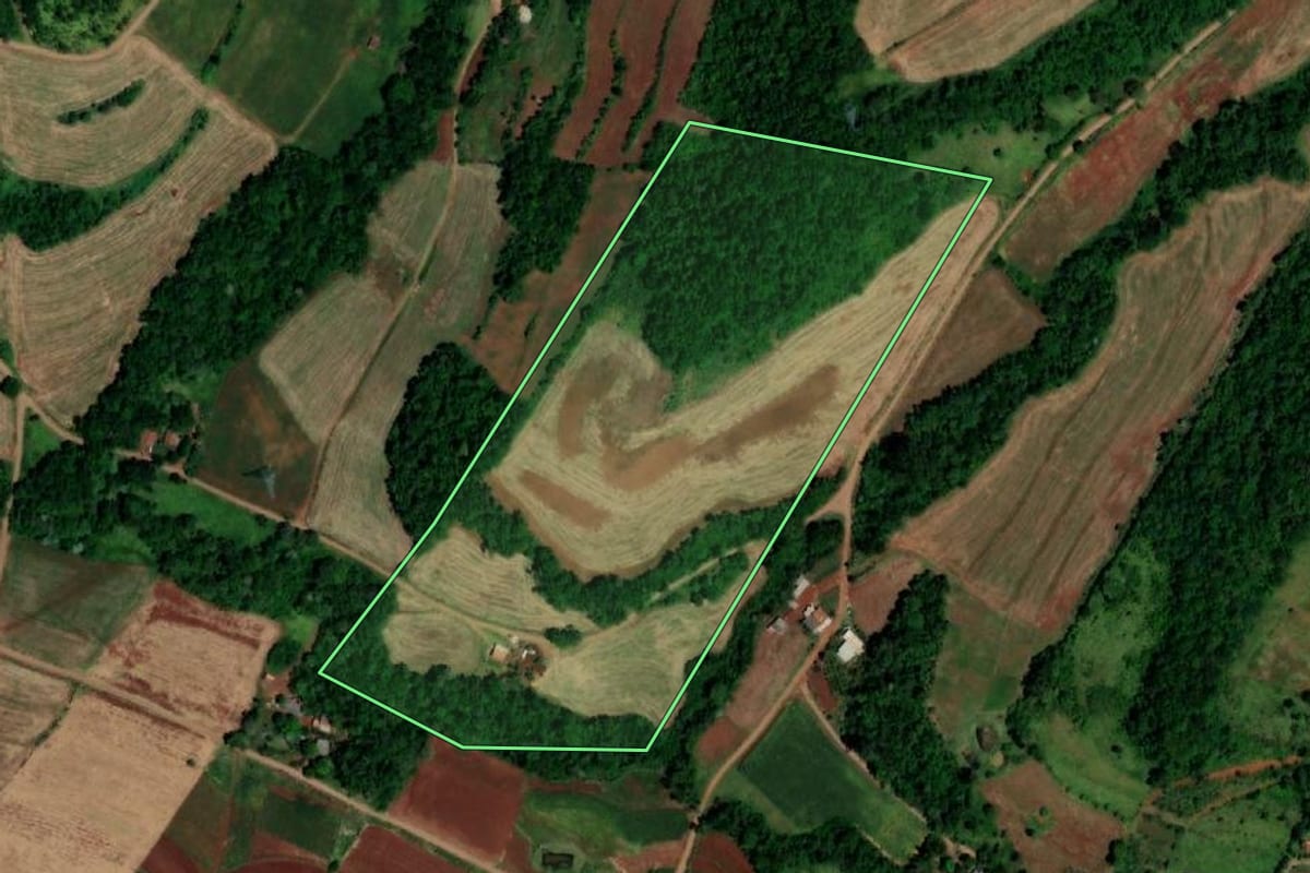 Imagem de satélite do imóvel rural em Capanema (PR), com o contorno declarado no CAR desenhado por cima.