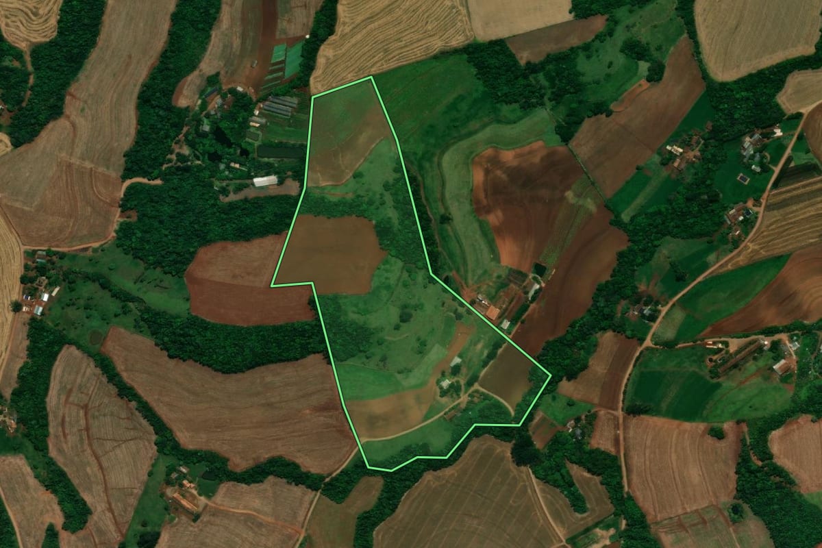 Imagem de satélite do imóvel rural em Capanema (PR), com o contorno declarado no CAR desenhado por cima.