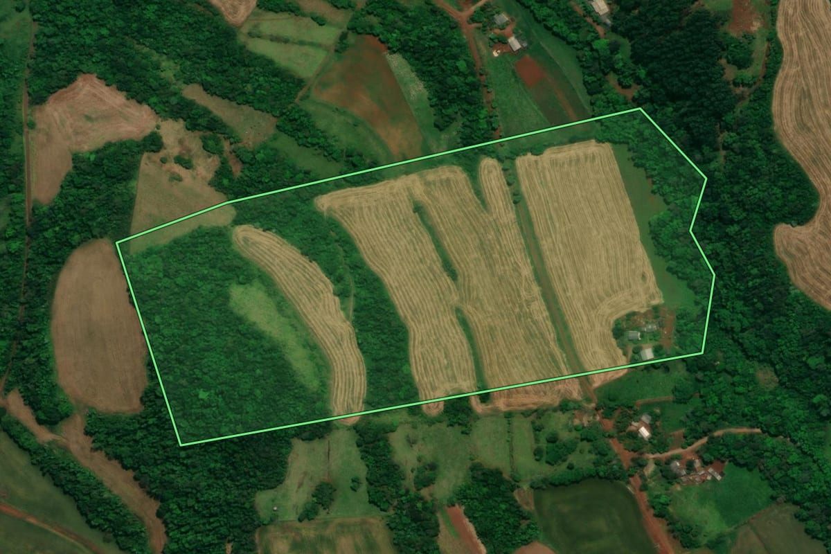 Imagem de satélite do imóvel rural em Capanema (PR), com o contorno declarado no CAR desenhado por cima.