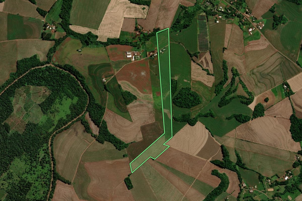 Imagem de satélite do imóvel rural em Capanema (PR), com o contorno declarado no CAR desenhado por cima.