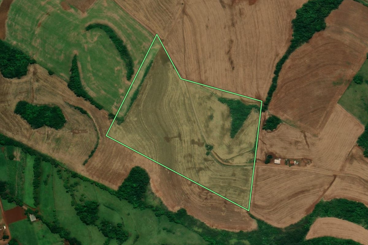 Imagem de satélite do imóvel rural em Capanema (PR), com o contorno declarado no CAR desenhado por cima.