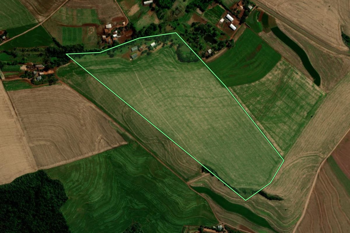 Imagem de satélite do imóvel rural em Capanema (PR), com o contorno declarado no CAR desenhado por cima.