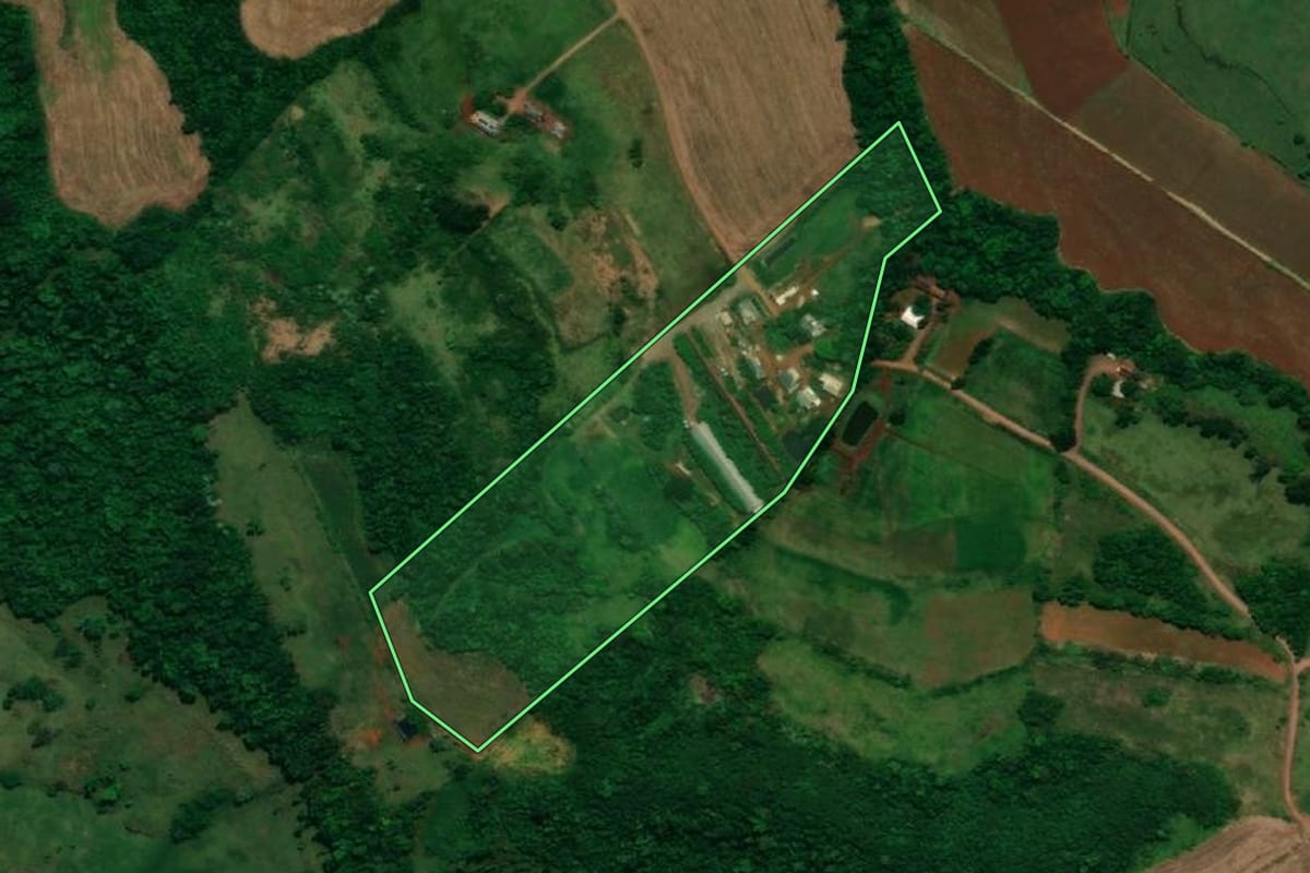 Imagem de satélite do imóvel rural em Capanema (PR), com o contorno declarado no CAR desenhado por cima.
