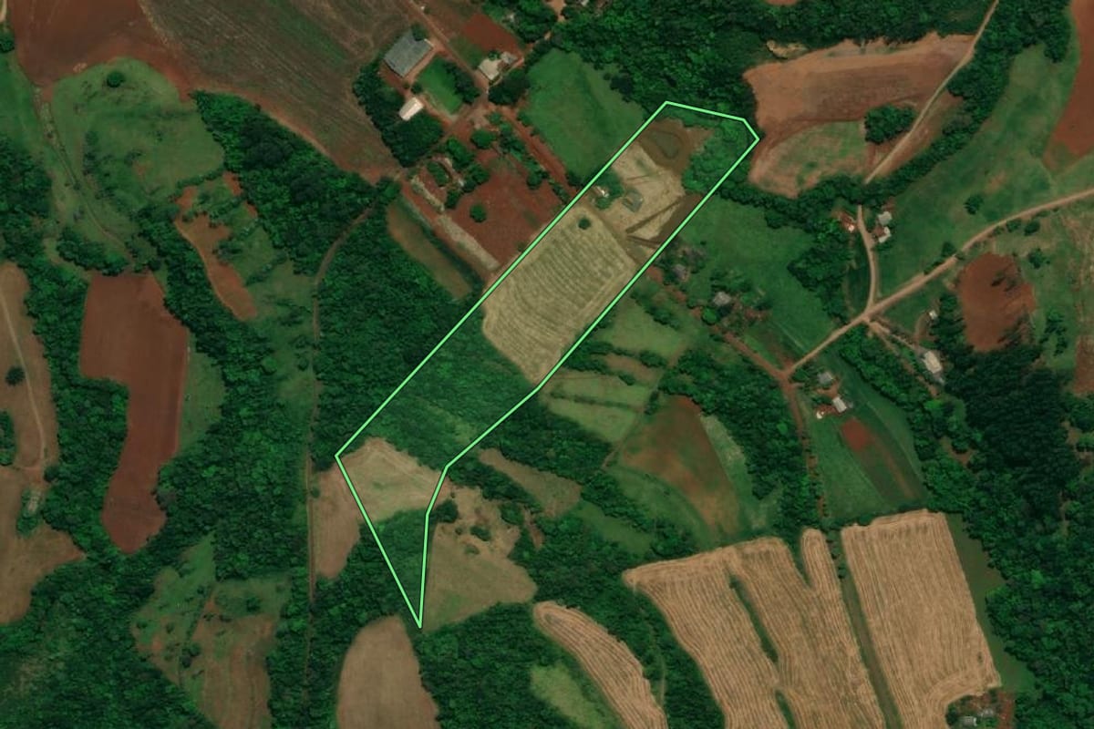 Imagem de satélite do imóvel rural em Capanema (PR), com o contorno declarado no CAR desenhado por cima.