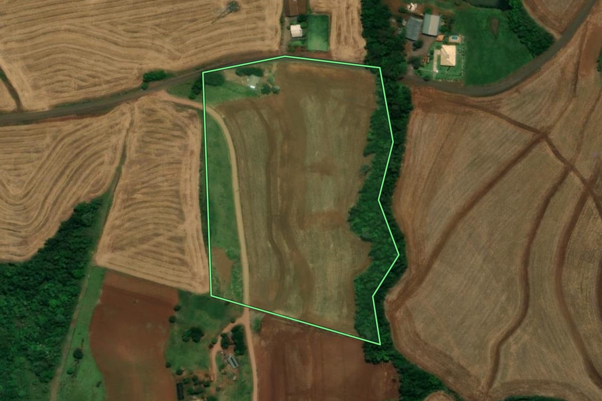 Imagem de satélite do imóvel rural em Capanema (PR), com o contorno declarado no CAR desenhado por cima.