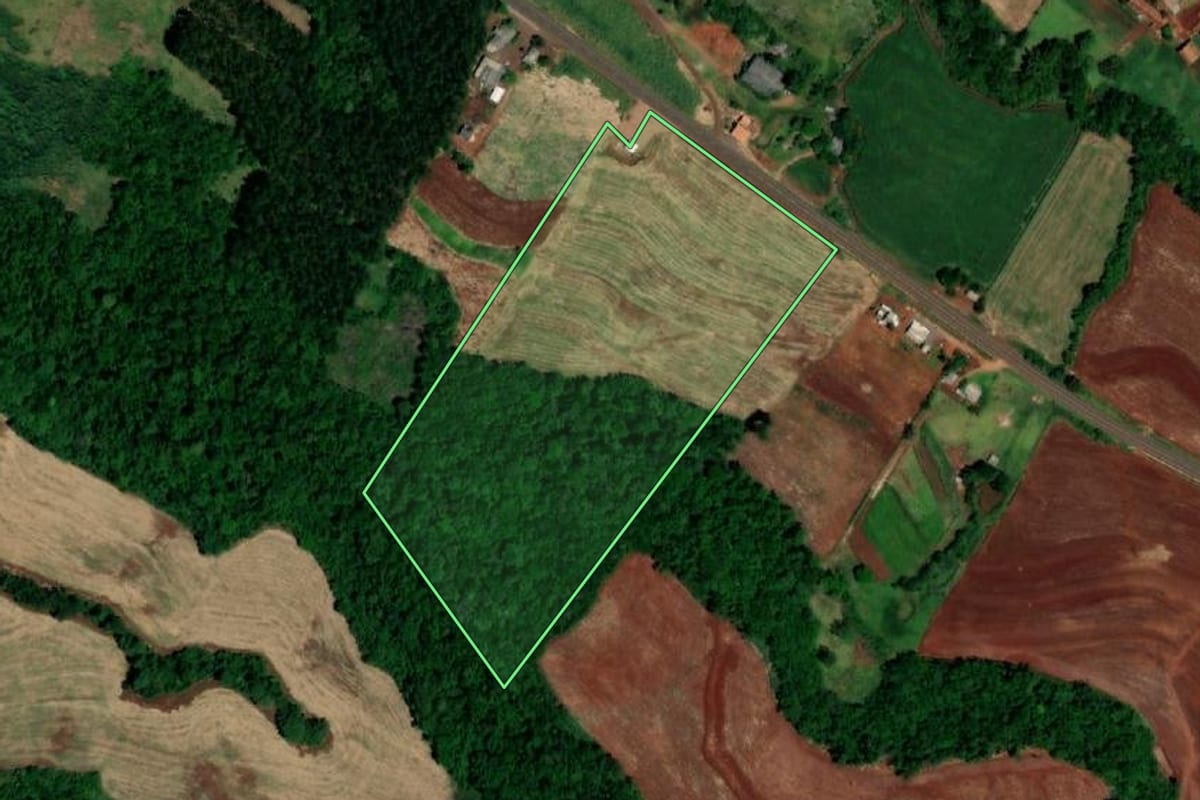 Imagem de satélite do imóvel rural em Capanema (PR), com o contorno declarado no CAR desenhado por cima.
