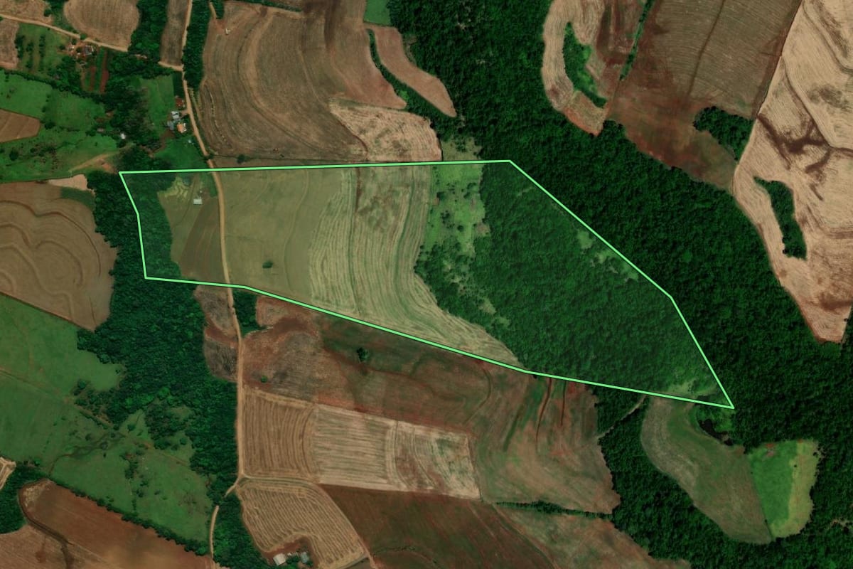 Imagem de satélite do imóvel rural em Capanema (PR), com o contorno declarado no CAR desenhado por cima.