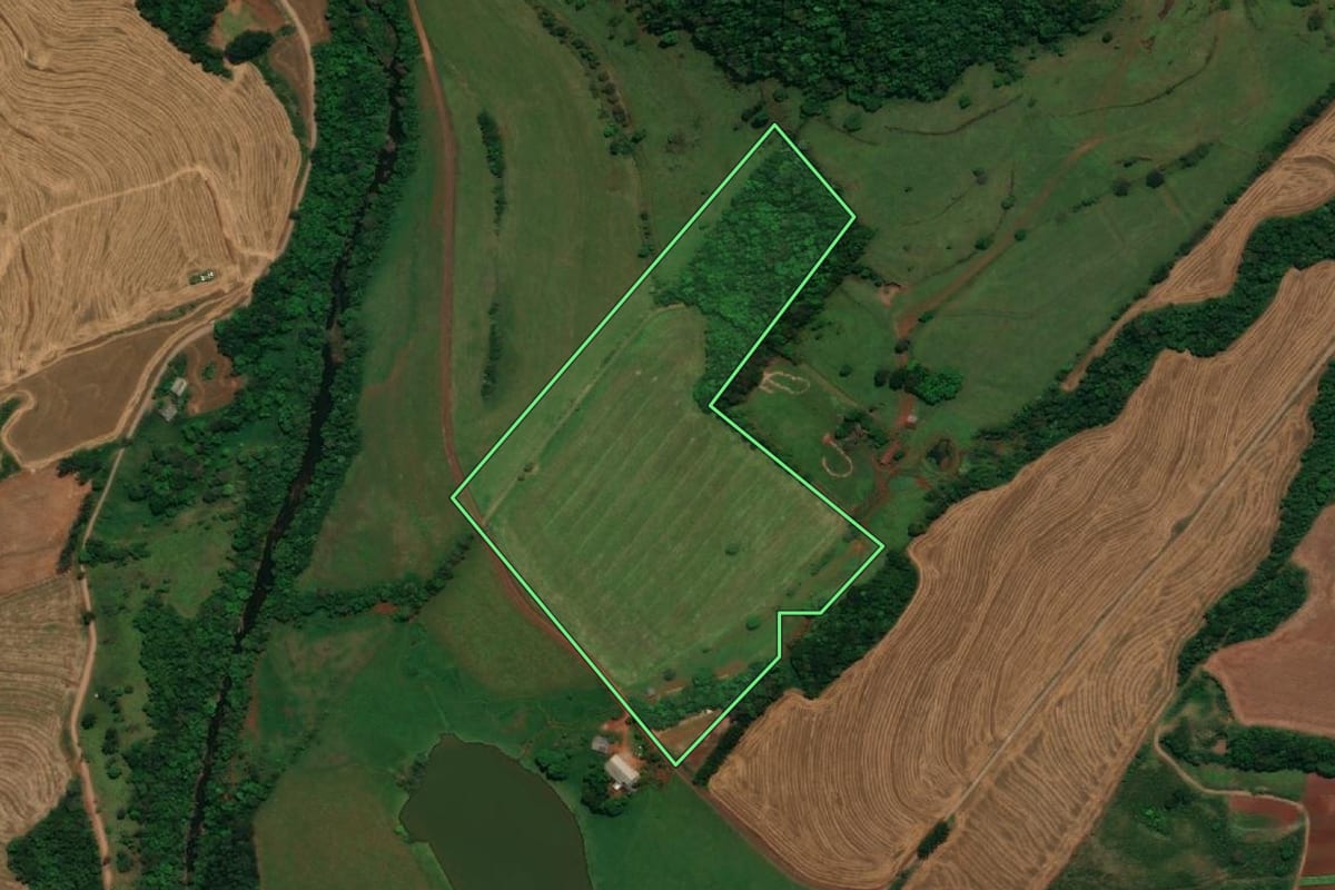 Imagem de satélite do imóvel rural em Capanema (PR), com o contorno declarado no CAR desenhado por cima.