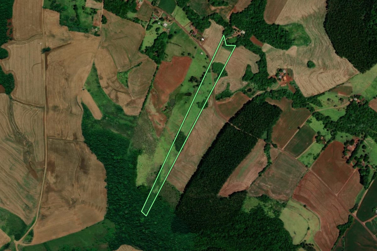 Imagem de satélite do imóvel rural em Capanema (PR), com o contorno declarado no CAR desenhado por cima.