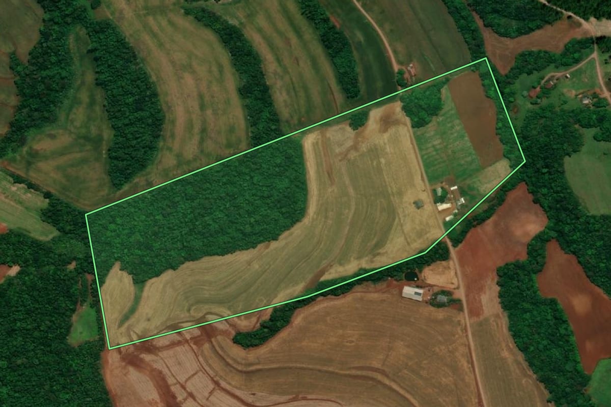 Imagem de satélite do imóvel rural em Capanema (PR), com o contorno declarado no CAR desenhado por cima.