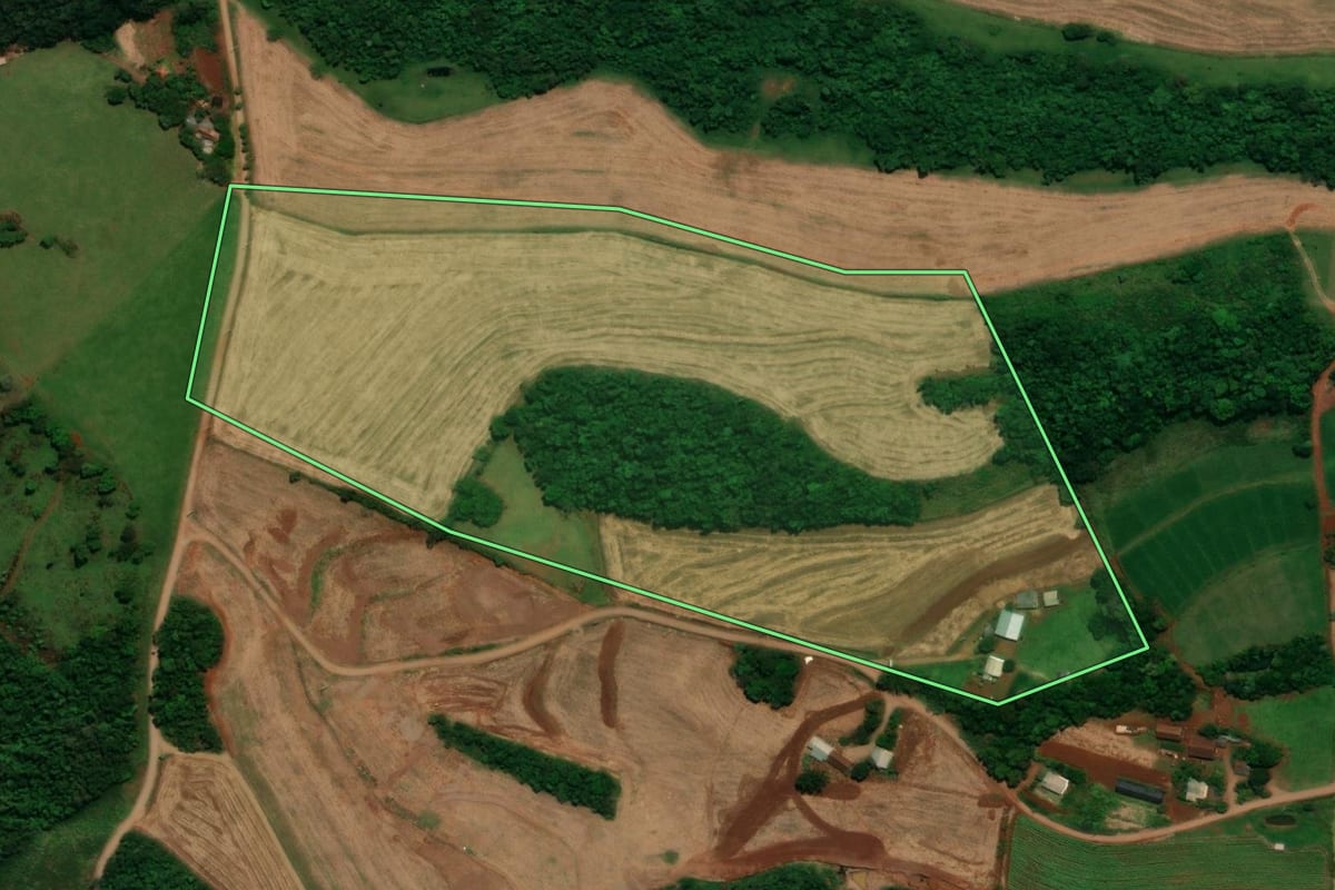 Imagem de satélite do imóvel rural em Capanema (PR), com o contorno declarado no CAR desenhado por cima.
