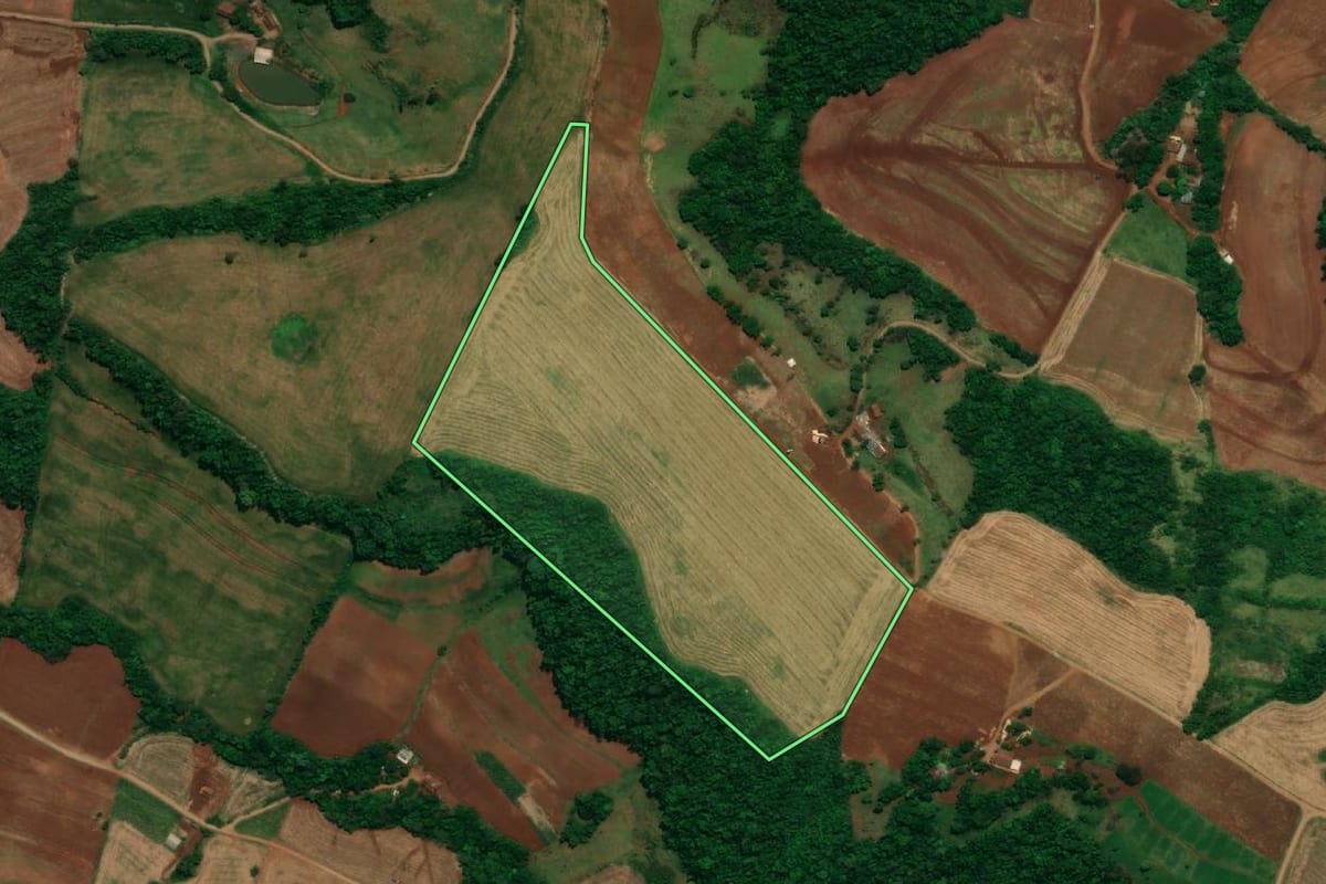 Imagem de satélite do imóvel rural em Capanema (PR), com o contorno declarado no CAR desenhado por cima.