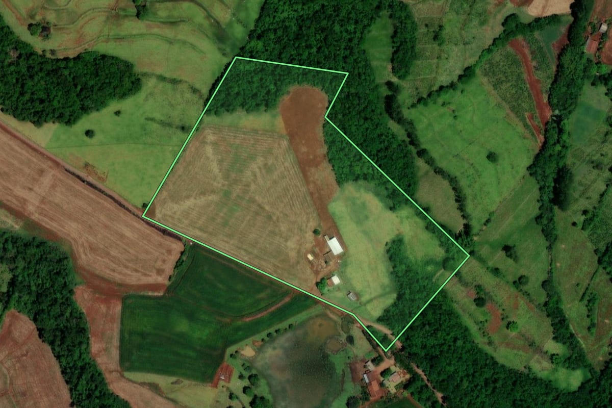 Imagem de satélite do imóvel rural em Capanema (PR), com o contorno declarado no CAR desenhado por cima.
