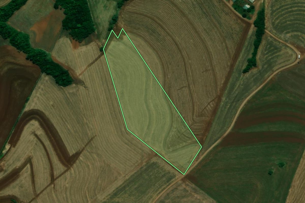 Imagem de satélite do imóvel rural em Capanema (PR), com o contorno declarado no CAR desenhado por cima.