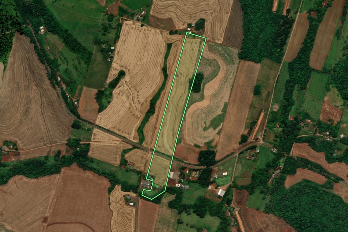 Imagem de satélite do imóvel rural em Capanema (PR), com o contorno declarado no CAR desenhado por cima.