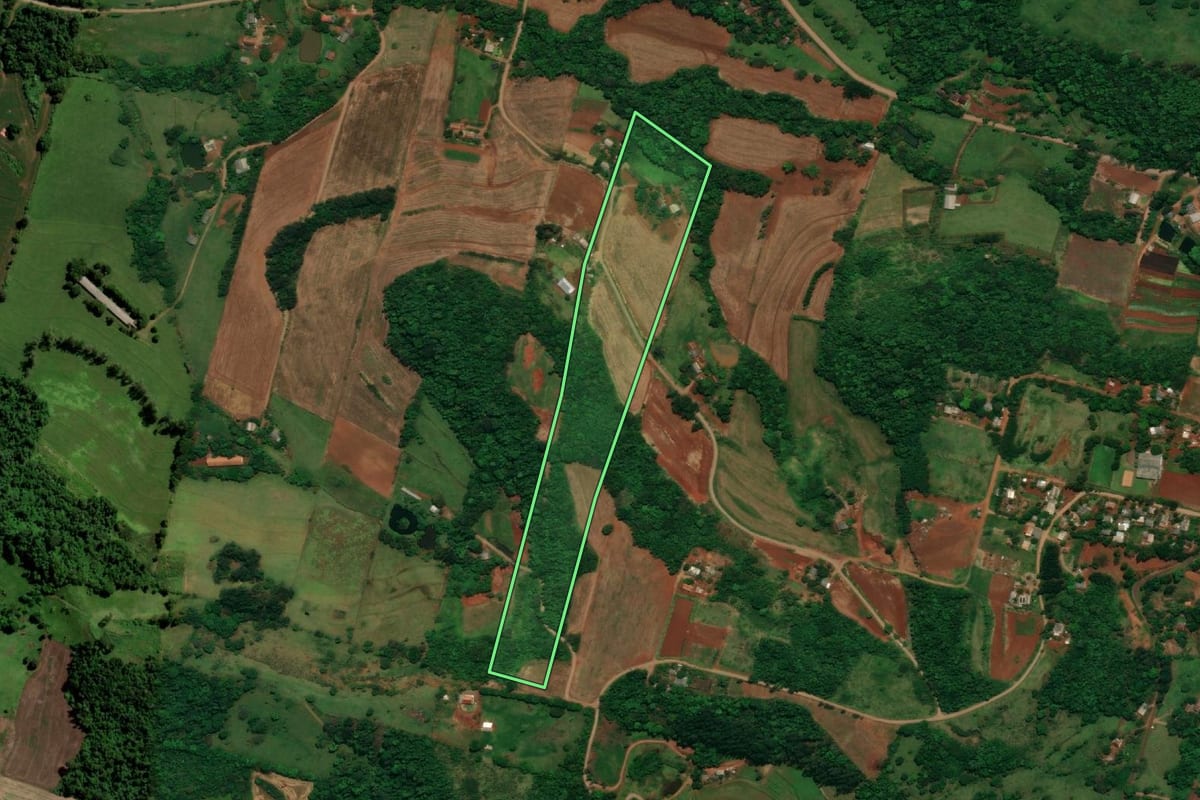 Imagem de satélite do imóvel rural em Capanema (PR), com o contorno declarado no CAR desenhado por cima.