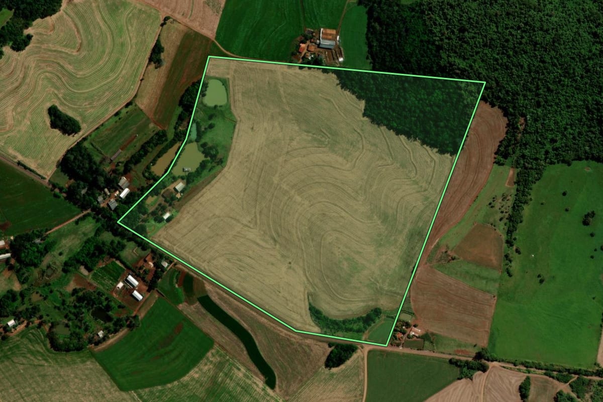 Imagem de satélite do imóvel rural em Capanema (PR), com o contorno declarado no CAR desenhado por cima.