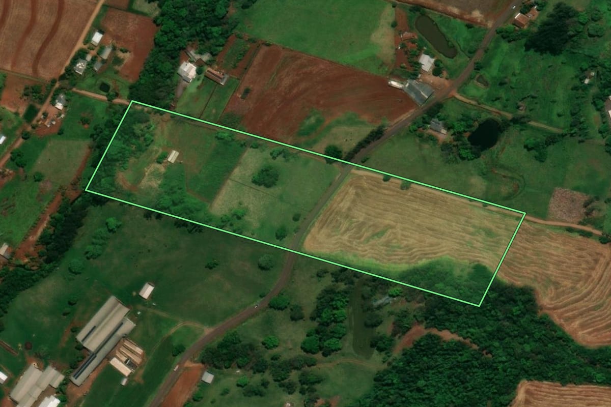 Imagem de satélite do imóvel rural em Capanema (PR), com o contorno declarado no CAR desenhado por cima.