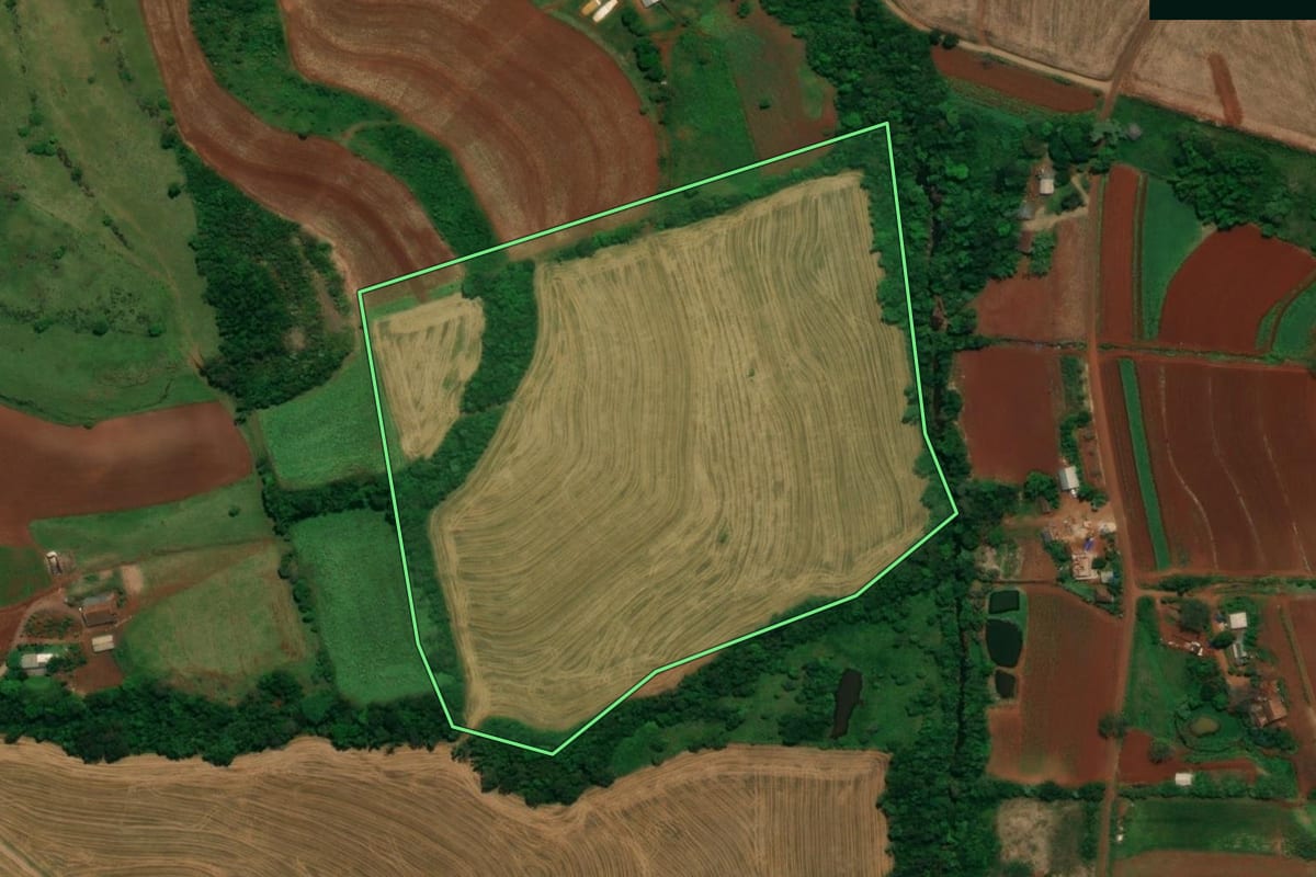 Imagem de satélite do imóvel rural em Capanema (PR), com o contorno declarado no CAR desenhado por cima.