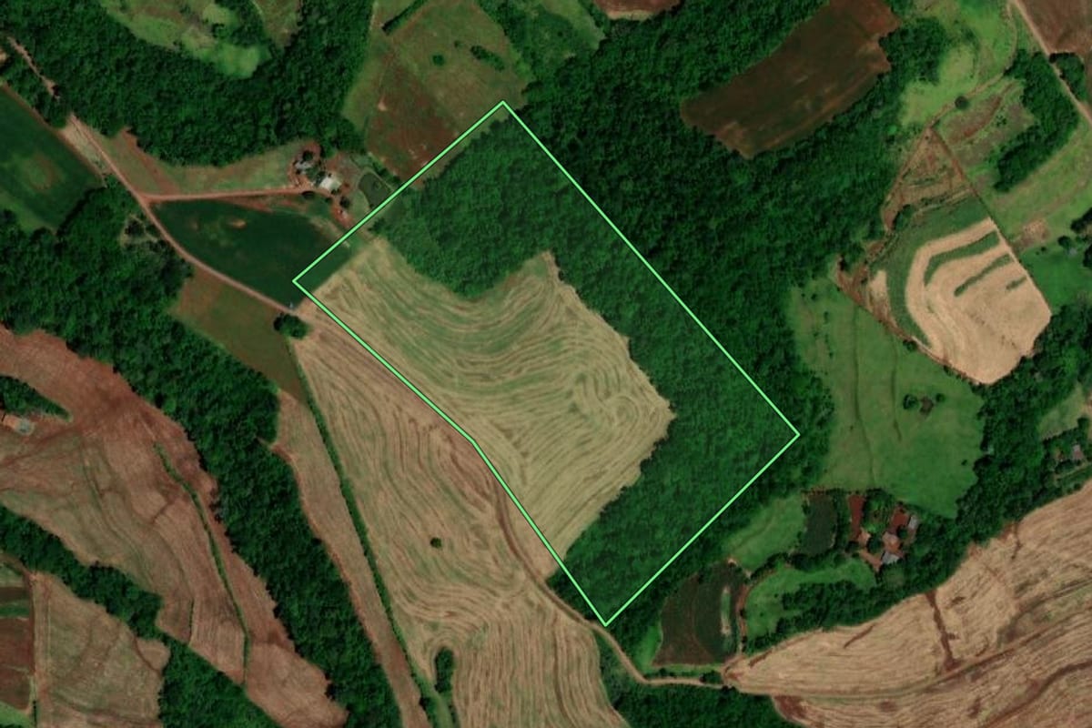 Imagem de satélite do imóvel rural em Capanema (PR), com o contorno declarado no CAR desenhado por cima.