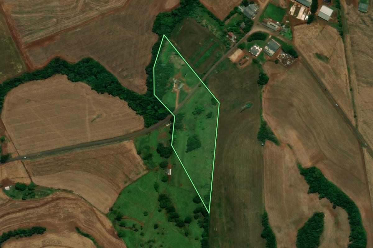 Imagem de satélite do imóvel rural em Capanema (PR), com o contorno declarado no CAR desenhado por cima.
