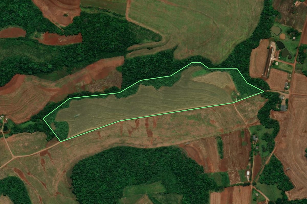 Imagem de satélite do imóvel rural em Capanema (PR), com o contorno declarado no CAR desenhado por cima.