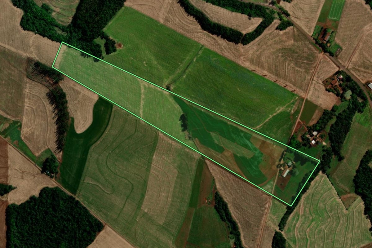 Imagem de satélite do imóvel rural em Capanema (PR), com o contorno declarado no CAR desenhado por cima.