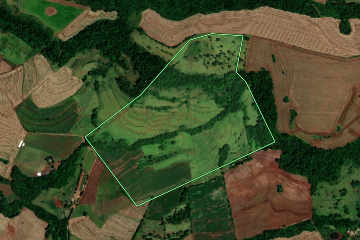 Imagem de satélite do imóvel rural em Capanema (PR), com o contorno declarado no CAR desenhado por cima.