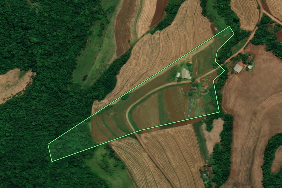 Imagem de satélite do imóvel rural em Capanema (PR), com o contorno declarado no CAR desenhado por cima.