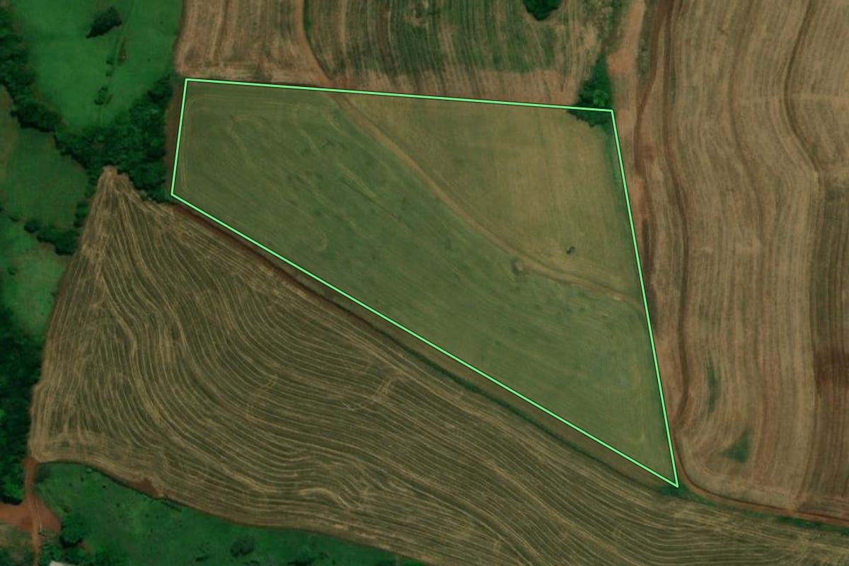Imagem de satélite do imóvel rural em Capanema (PR), com o contorno declarado no CAR desenhado por cima.