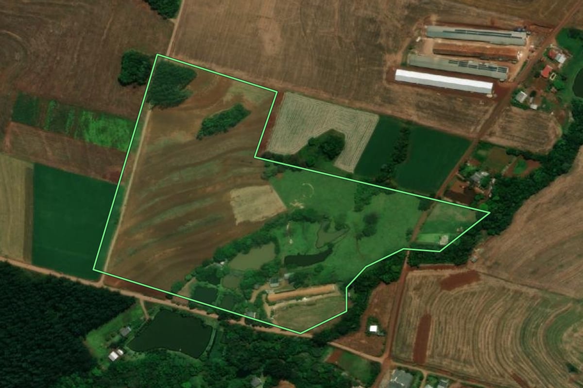 Imagem de satélite do imóvel rural em Capanema (PR), com o contorno declarado no CAR desenhado por cima.