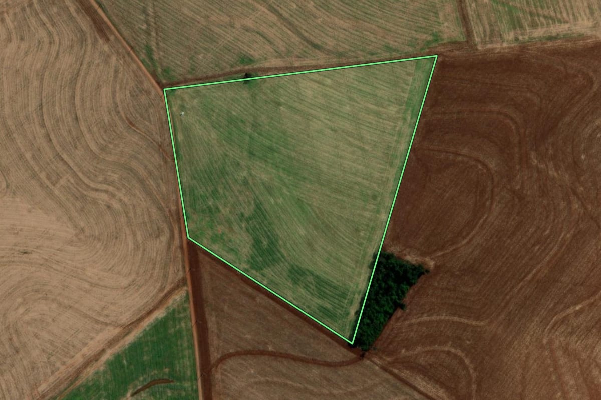 Imagem de satélite do imóvel rural em Capanema (PR), com o contorno declarado no CAR desenhado por cima.