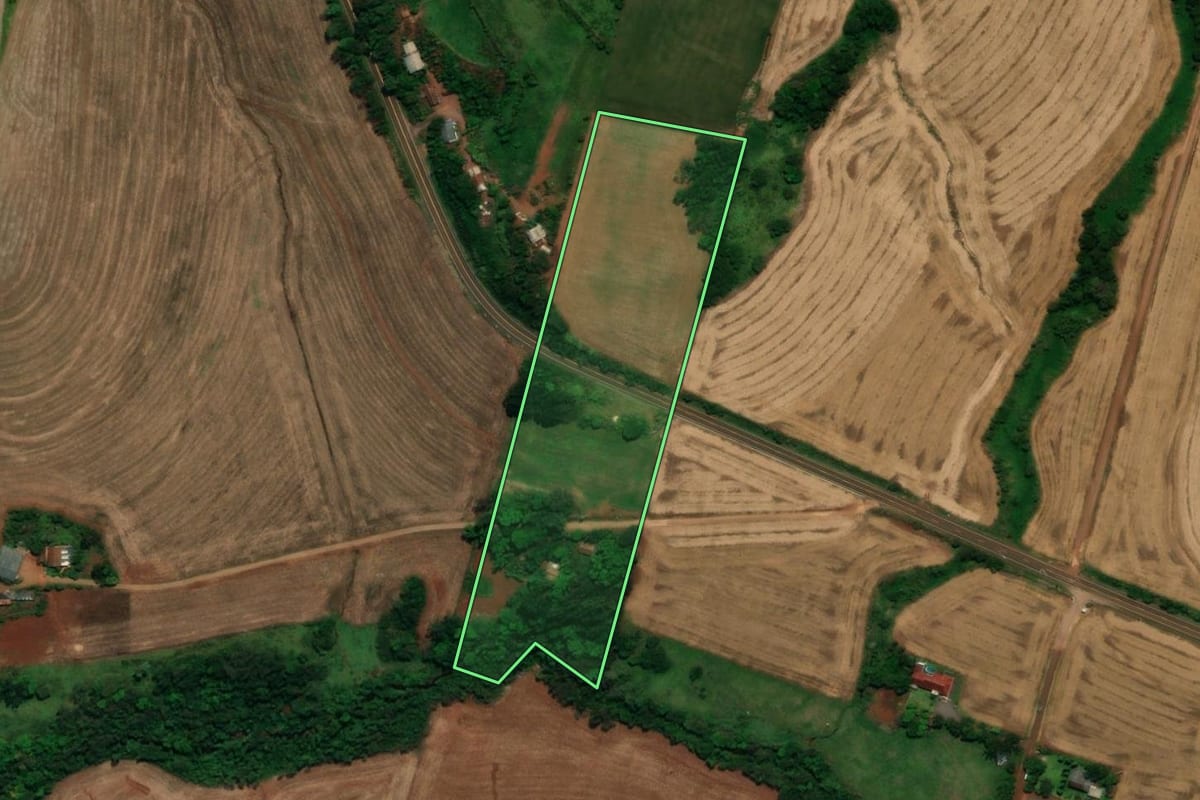 Imagem de satélite do imóvel rural em Capanema (PR), com o contorno declarado no CAR desenhado por cima.