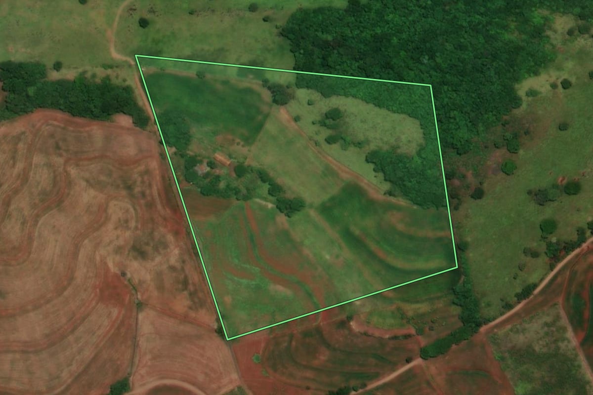 Imagem de satélite do imóvel rural em Capitão Leônidas Marques (PR), com o contorno declarado no CAR desenhado por cima.
