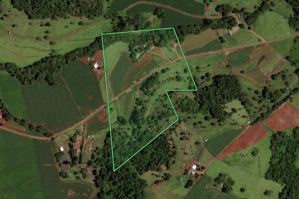Imagem de satélite do imóvel rural em Capitão Leônidas Marques (PR), com o contorno declarado no CAR desenhado por cima.